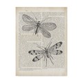 Trademark Fine Art Wild Apple Portfolio 'Vintage Dragonflies on Newsprint' Canvas Art, 24x32 WAP03969-C2432GG